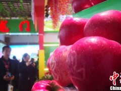 甘肃“灵台苹果”凭口感闯市场：农民因“果”得福