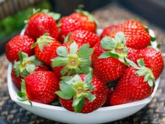 腾鳌温泉草莓