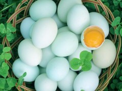 芷江绿壳鸡蛋
