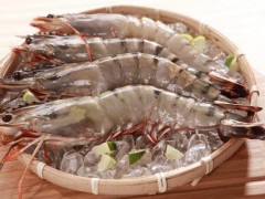 金湾大海虾