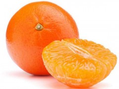青林柑橘